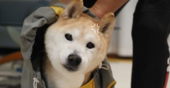 カメラ嫌い健在！