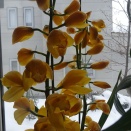 こだわり＆ハマる