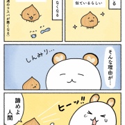 玉ねぎのひみつ