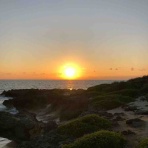 さんちゃんのblog