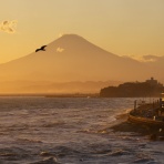 Nori-sukeの写真散歩