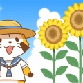 7月8日【火曜日】超超豪華ラインナップ営業日