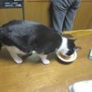 ポコ様日記　２０２６年４月２３日（木）