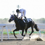 『【移籍馬情報】ホッカイドウ競馬・2歳移籍馬情報～その2・岩手編～』の画像