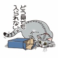 チャレンジ精神