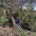 幕末・明治の肥前　こぼれ話