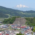 大鰐温泉つつじまつり ～2026 ＆ 鰐come祭り春