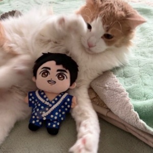 郷ひろみさんのコンサートに行って来ました。（埼玉県越谷） : 猫