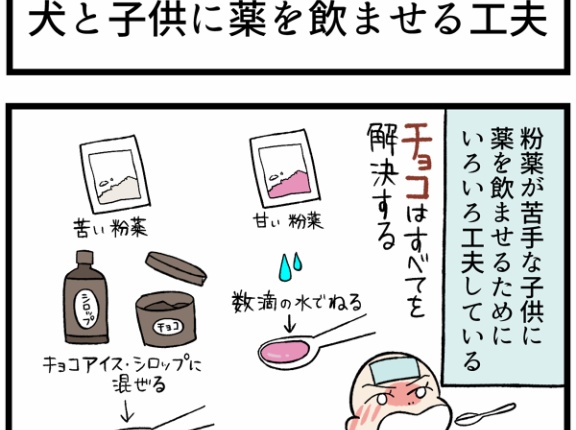 柴犬と子供、薬を飲ませるときの涙ぐましい工夫