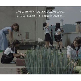 『【悲報】実写版がっこうぐらし！、とんでもないキャベツの育て方をしてしまうwxwxwxwxxwxwxwxxw 	』の画像