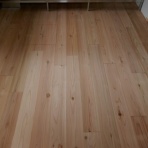 本物の無垢木材　～茨木市戸田材木店・セルバの木の虫ブログ～