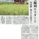 稲刈り、始まる［388回］
