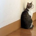 そら君