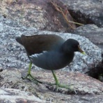 きららきらら☆