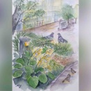 主役はワタシ・・うめきた公園