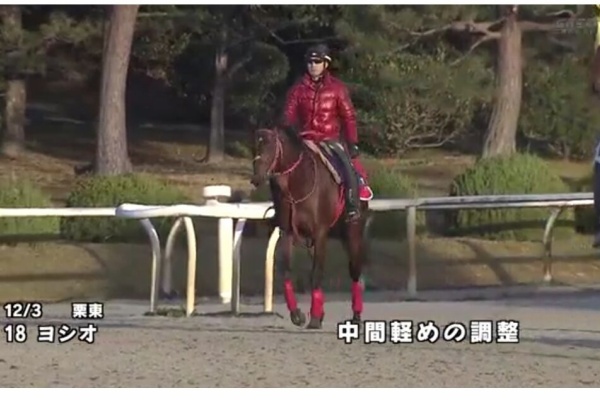 サンデー速報 なんj競馬部 ヨシオ