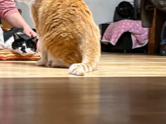 うじゃうじゃ