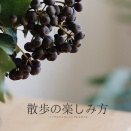 散歩中の楽しみ方