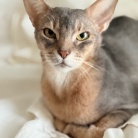 免疫力落ちた？蕁麻疹でて痒い߹-߹