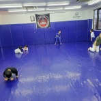 ブルテリア格闘技ジムｘボンサイ柔術浜松ブログ