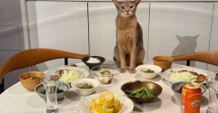 豚肉のスタミナ焼きの夜ごはん