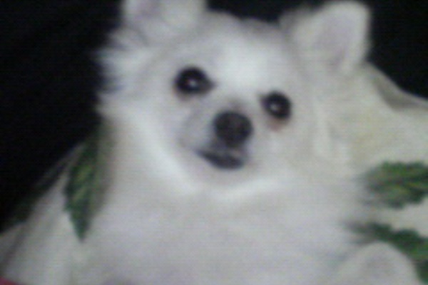 きよとの平穏な日々