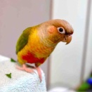 今日はね✨✨✨