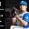 【予告先発】伊藤大海｜5月19日 楽天戦｜18:00開始
