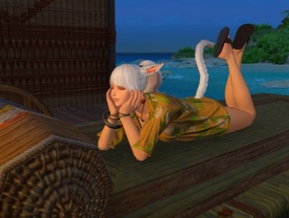 【FF14】最近ヘビー級零式の募集が増えてきたけど…。23時のPT募集はもう遅い、24時には閉店で全員解散就寝。寝るのが早すぎるガイアというDC