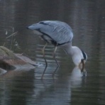 きららきらら☆