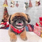 ゆうなぎ動物病院