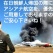 在日帰国専用航空会社の紹介ｗｗｗ日本人は対象外ですので決して乗らないようにご注意ください！