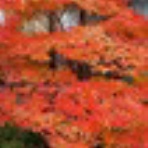 佐渡活性化日誌