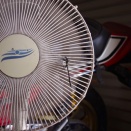 お花とバイク旅動画【過去のダイジェスト編集】