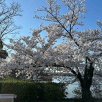 てつっちＬｏｇ　いつのまにかに２０年。。。