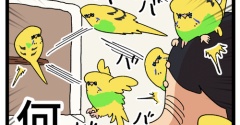 カチョの喜び方、ヒット＆アウェイ