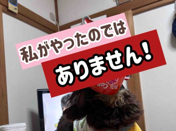 ４個パックがジャストサイズ。