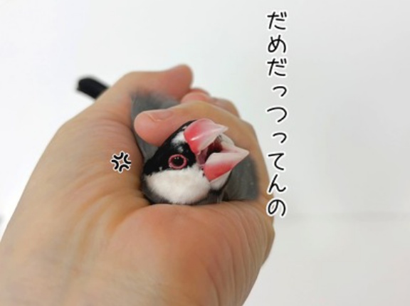 兄たんのそばに行きたい弟