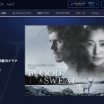 Computer with Audio/Visual