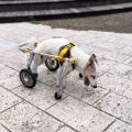 だんだんと