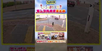 【にじさんじ】モンゴルで出会った犬まとめ