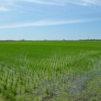 北越フードサプライ