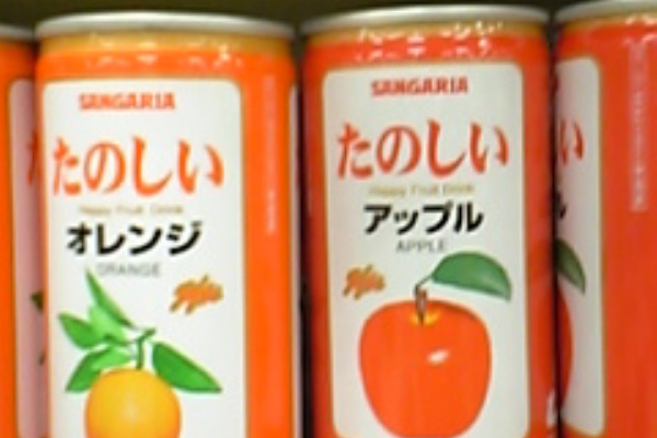 トサカヘッド日和