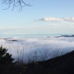 【画像】綺麗な山肌してるだろ。ウソみたいだろ？東京なんだぜ。これで