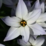 一日一日を大切に