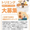 【ボランティア募集】シャンプー＆トリミング
