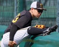 糸原健斗、木浪聖也、山本泰寛←この中から一人贔屓球団に加入させなきゃいけないとしたら