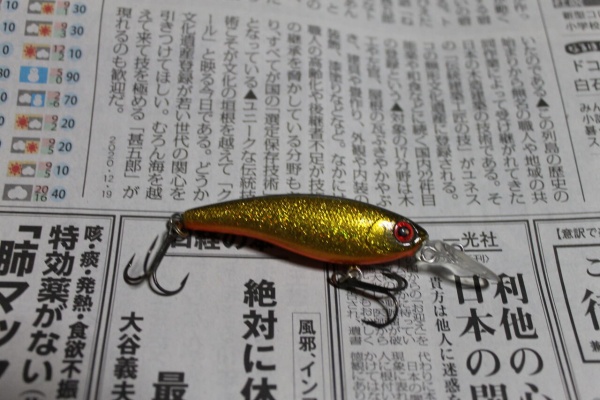 おかっぱりアングラーのバス釣りブログ 年12月