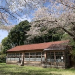 散歩と旅ときどき温泉