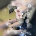 みつ出勤𓂃🥀𓈒𓏸